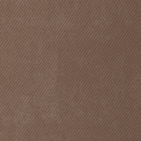 Color Shade